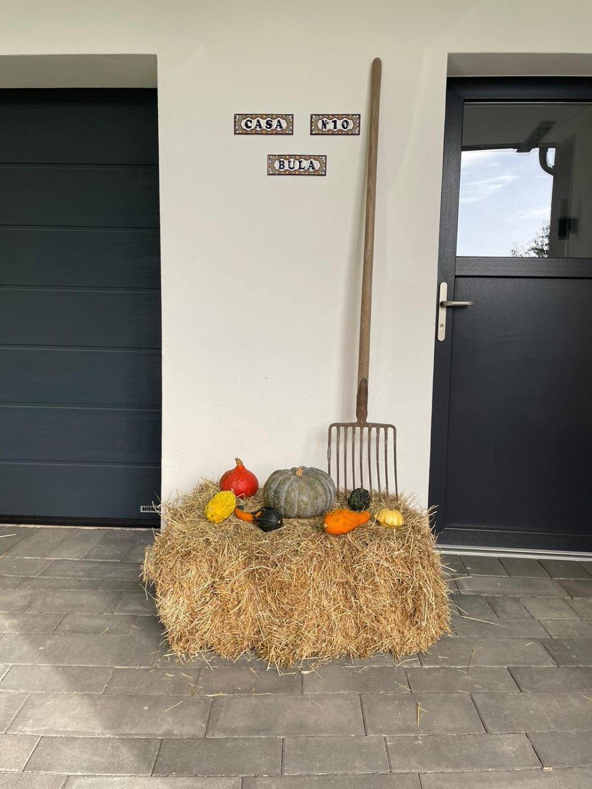 Apartamento Lok-In Altenbeken Exterior foto